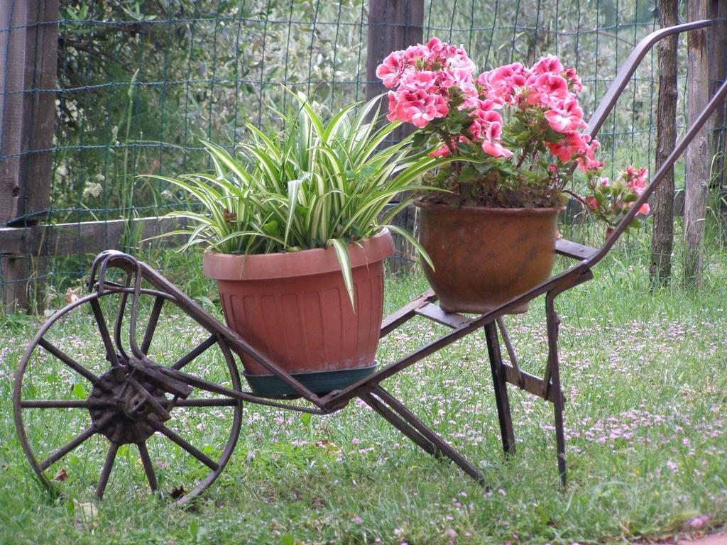 Le Grazie Couette-café Piaggine